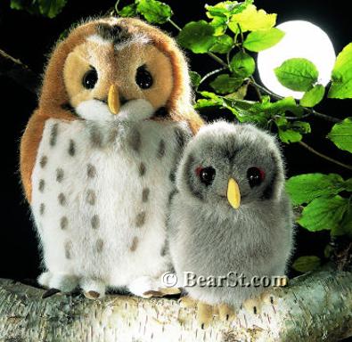 Tawny Owls