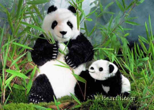 Limited Edition Panda Bears